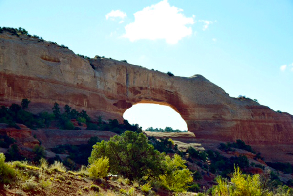 2015_Online_Class_January-w