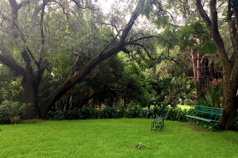 Jardines_Arboles-y-bancas-w