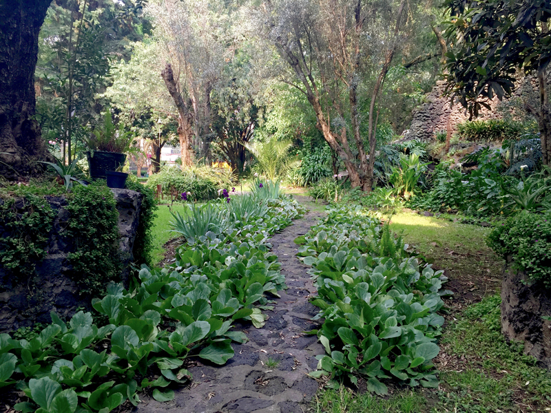 Jardines_Camino-w