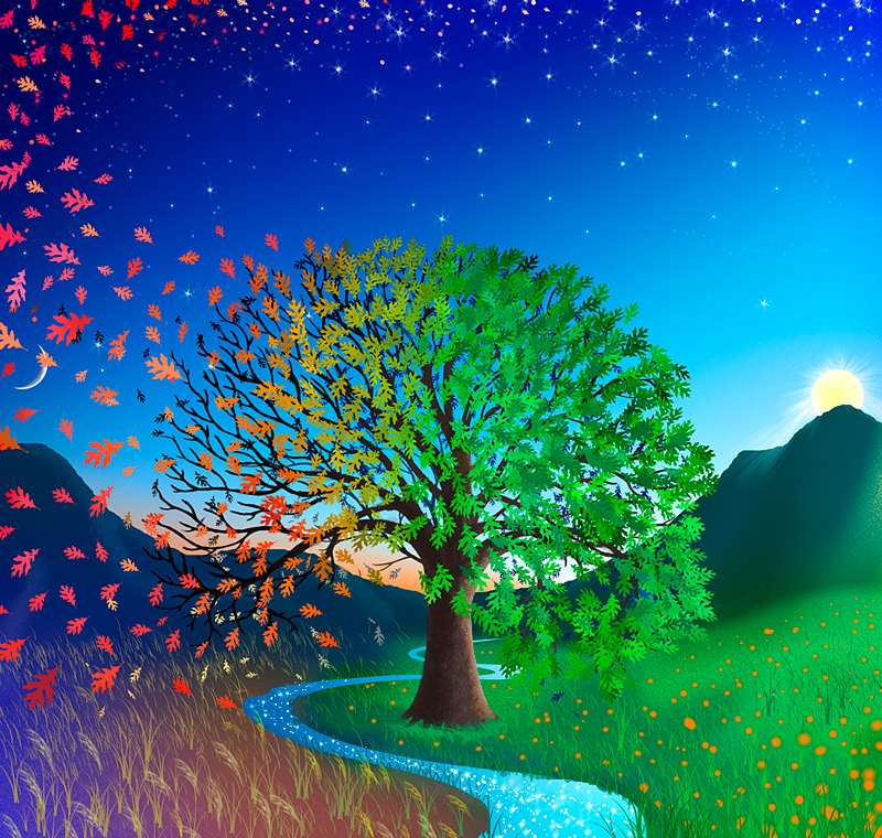cyclicity-14-final-w