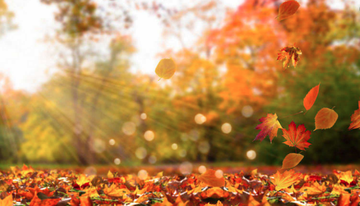 Encontrando el Balance