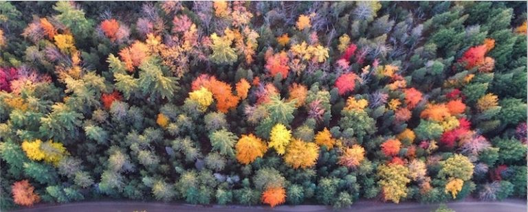 equinoccio de otoño