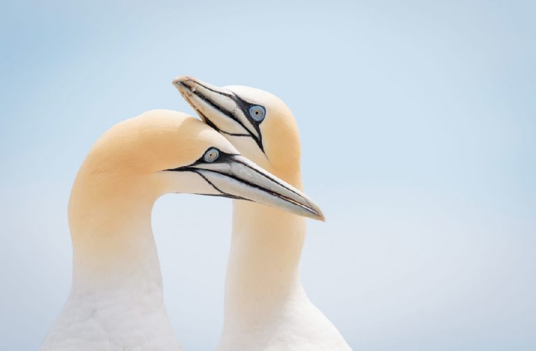 Construyendo mejores relaciones