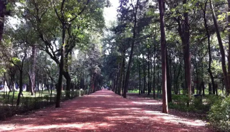 La Tensegridad de Carlos Castaneda en Viveros de Coyoacán