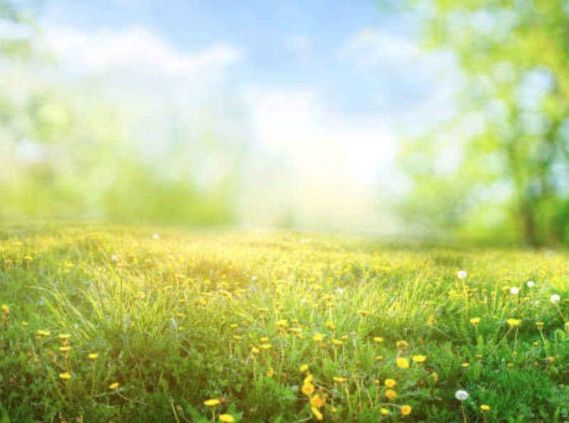 limpieza mental y espiritual